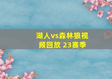 湖人vs森林狼视频回放 23赛季